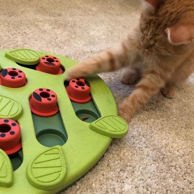 Katzen Spielzeug - Snuggle Safari